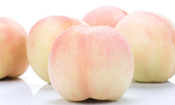 上海美食特产,上海有哪些特色美食小吃图7