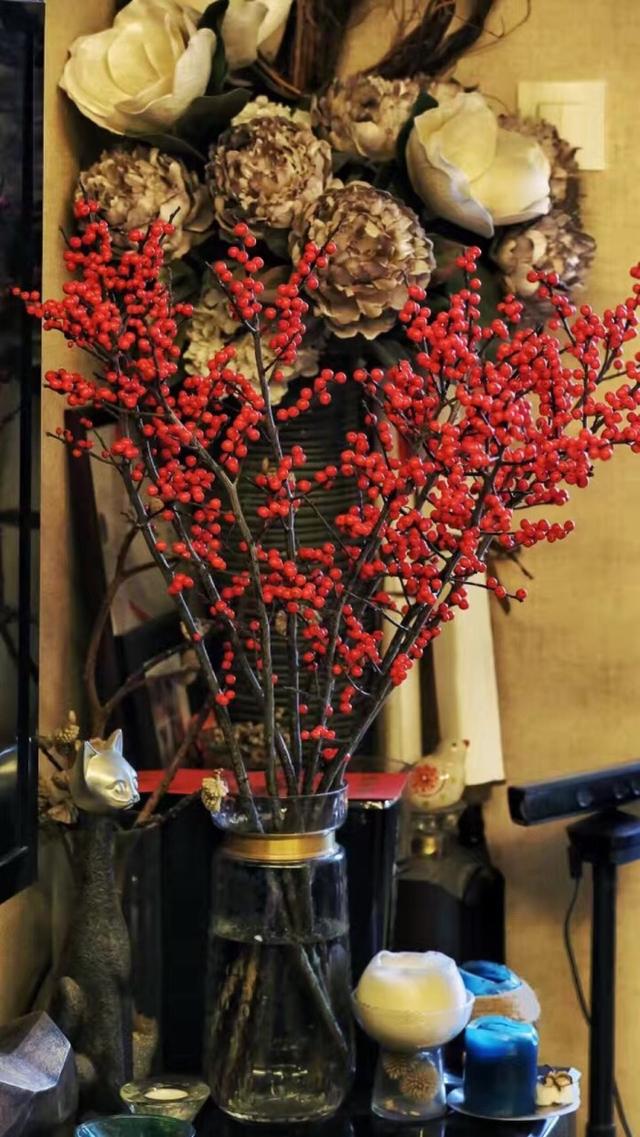 春节花卉品种大全大图（百花齐放春意满屋）(13)