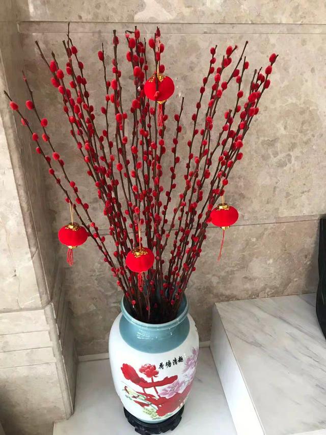 春节花卉品种大全大图（百花齐放春意满屋）(11)