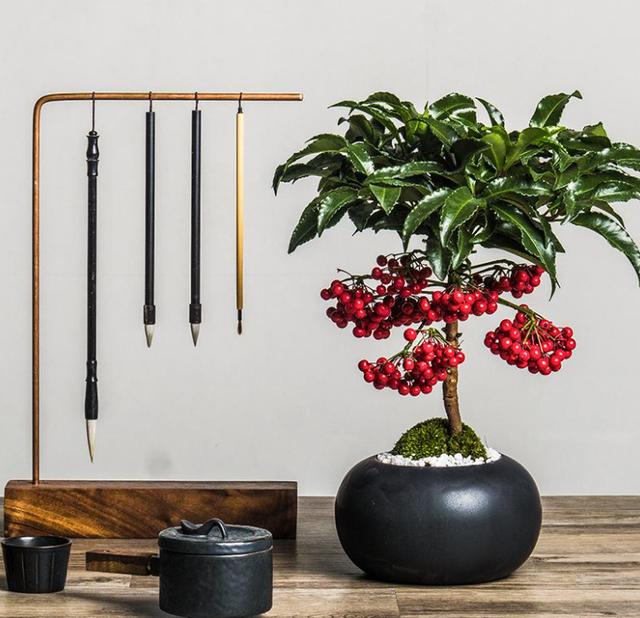 春节花卉品种大全大图（百花齐放春意满屋）(12)