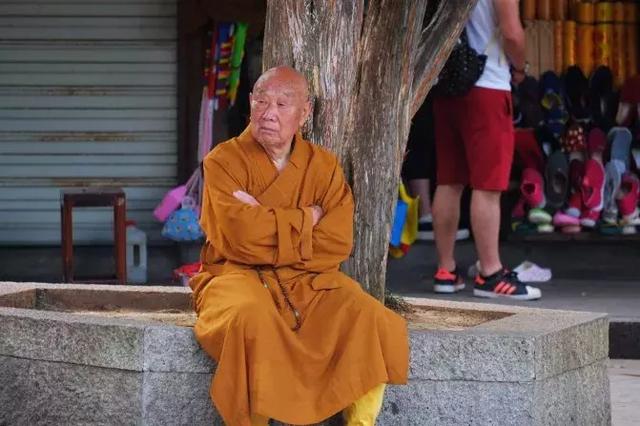 普陀山自由行攻略最佳路线图（想到了就去普陀山）(38)