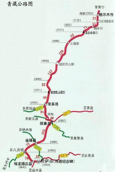 陪你一起看可可西里（一路向西可可西里）(24)