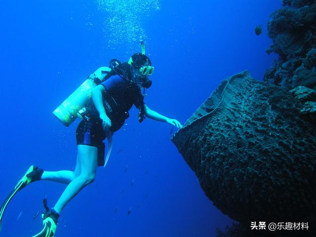 未来南沙最大岛仁爱礁（昔日面积不到弹丸礁4）(11)
