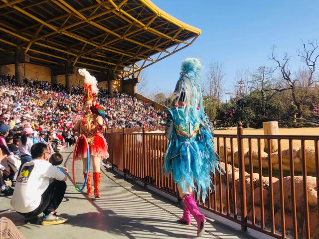 银基动物王国游玩攻略以及价格（银基动物王国最全攻略升级版）(5)