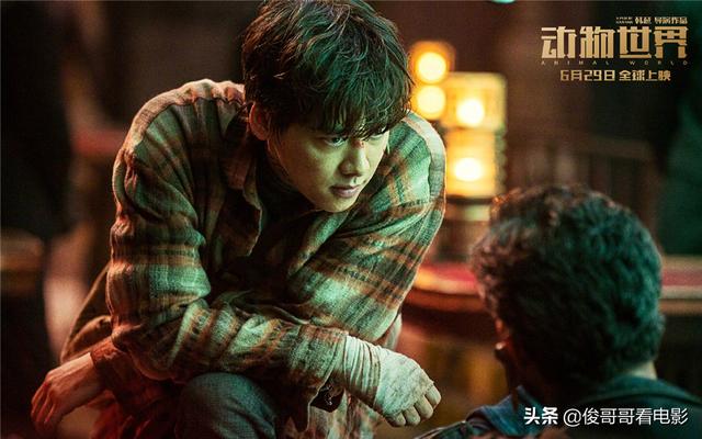 中美合拍西游记到底拍了没有（中美合拍西游章金莱）(9)