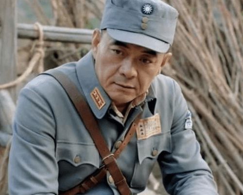 王新军电视剧，2022抗战电视剧(王新军主演的战争电视剧)
