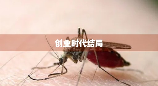 创业时代结局