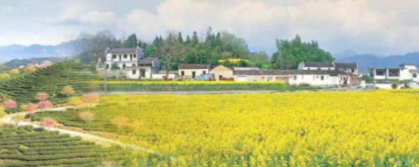 华东地区包括台湾,华东地区包括哪些省图2