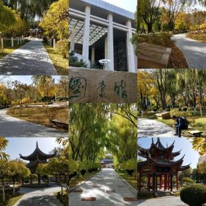​北方民族大学怎么样 好不好(北方民族大学怎么样知乎)