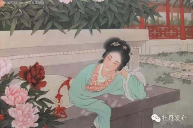 牡丹和芍药的主要区别（牡丹跟芍药有什么区别）