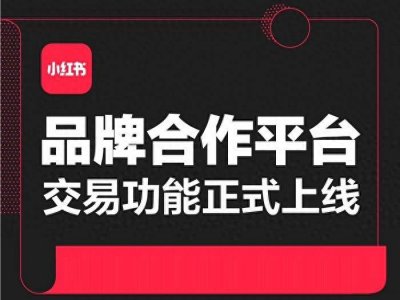 ​小红书分析报告 小红书详细数据分析