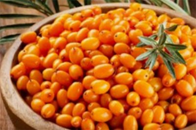 ​沙棘如何食用 你不知道的沙棘小知识