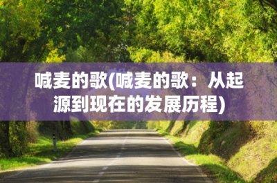 ​喊麦的歌(喊麦的歌：从起源到现在的发展历程)