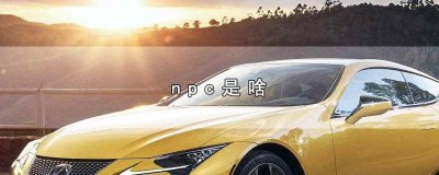 ​密室npc是啥意思 网络上npc是啥意思