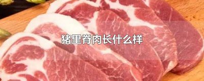 ​猪里脊图片是什么肉 猪里脊肉是哪里的,什么样
