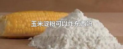 ​玉米淀粉可以用来炸吗 炸东西可以用玉米淀粉吗