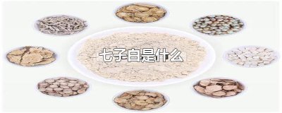 ​七子白有哪些 七子白都有什么