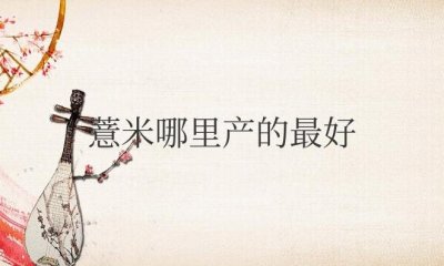 ​薏米哪里产的最好吃最正宗（中国薏米的主要产地）