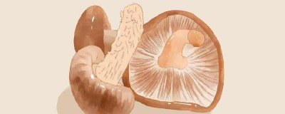 ​香菇酱的营养价值及营养成分