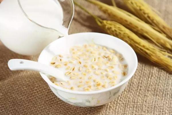 燕麦片可以用冷牛奶泡吗 牛奶泡燕麦片有什么功效