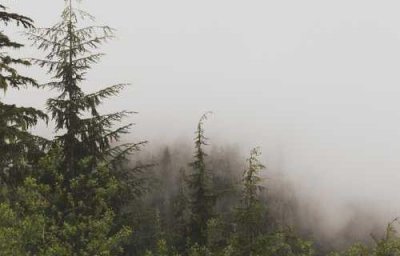 ​摸摸鱼是什么意思