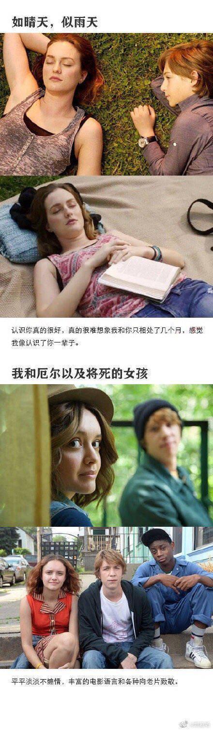 推荐18部好看的小清新电影，简单又温暖
