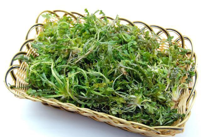 百吃不厌的拳头菜，给你不一样的享受